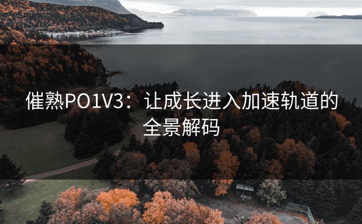 催熟PO1V3：让成长进入加速轨道的全景解码
