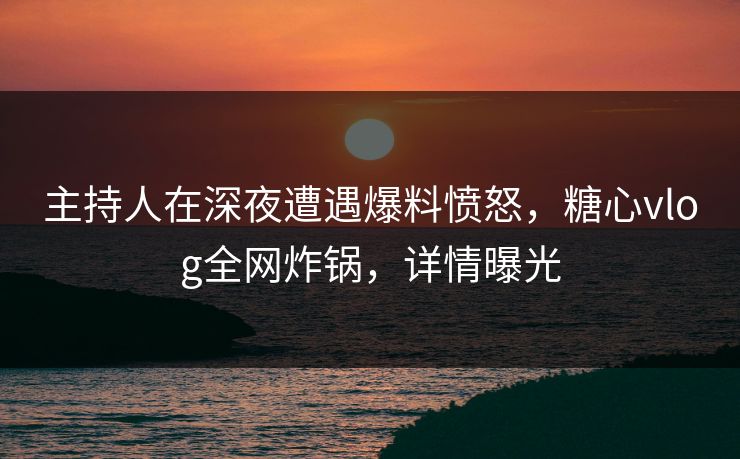 主持人在深夜遭遇爆料愤怒,糖心vlog全网炸锅,详情曝光