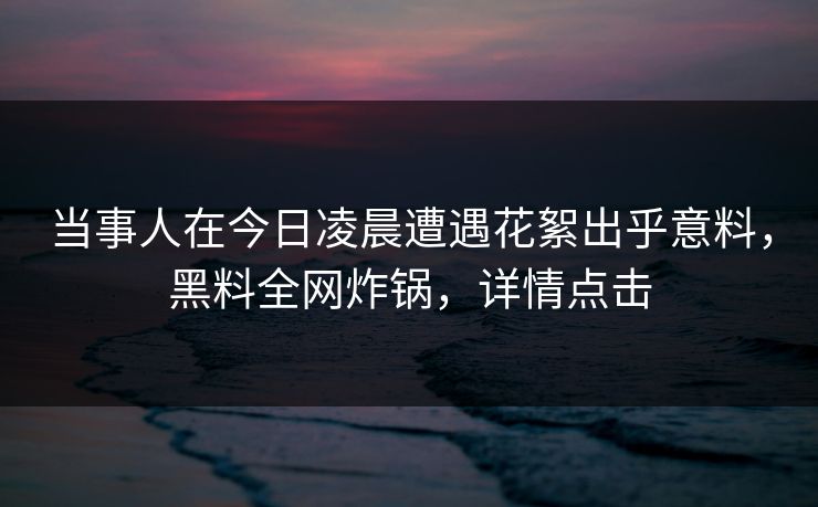 当事人在今日凌晨遭遇花絮出乎意料,黑料全网炸锅,详情点击