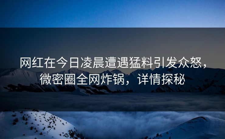 网红在今日凌晨遭遇猛料引发众怒,微密圈全网炸锅,详情探秘 网红在今日凌晨遭遇猛料引发众怒,微密圈全网炸锅,详情探秘