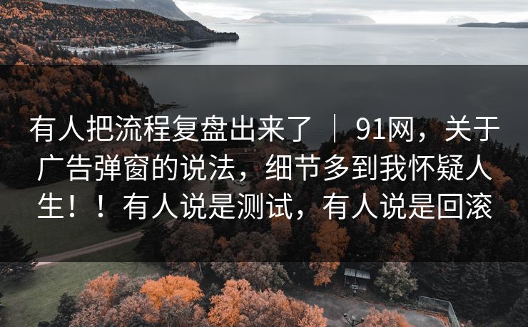 有人把流程复盘出来了 ｜ 91网，关于广告弹窗的说法，细节多到我怀疑人生！！有人说是测试，有人说是回滚