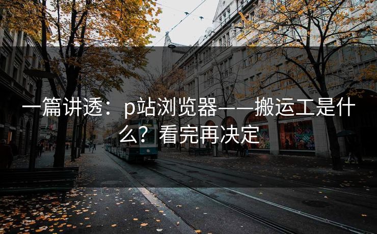 一篇讲透：p站浏览器——搬运工是什么？看完再决定