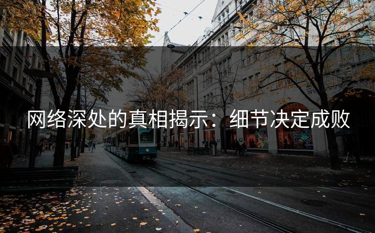 网络深处的真相揭示：细节决定成败